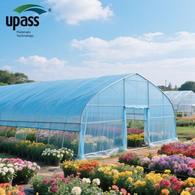Transparent Polythene Anti-UV Greenhouse Plastic Film Roll Agriculture Greenhouse Film with  PE Custom Cutting Service