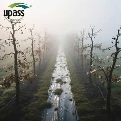 Highly Reflective Agricultural PET Mylar Film Plastic Metallised Blow Molding for Laminating Foam Material for Mulching