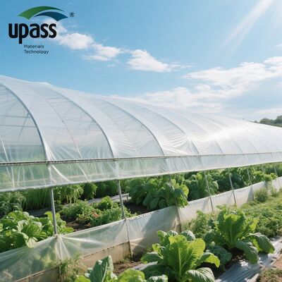 Factory Direct UF508 Anti-UV Anti-Aging Agricultural Greenhouse Film 5000 Square Meter MOQ 100x55x55cm Roll Blow Molding Cutting