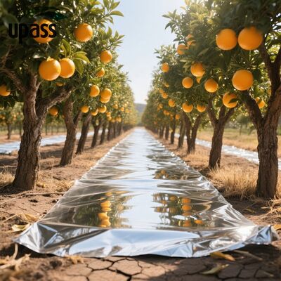 Strength Aluminum Foil Composite Ground Cover Film Reflective Agricultural Blow Molding Increasing Red Fruit Rate Fruit Trees