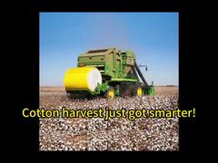 Cotton Bale Wrap